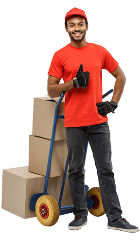 packers and movers, movers and packers